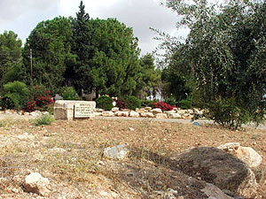 לוזית. Photo: m-yehuda.org.il