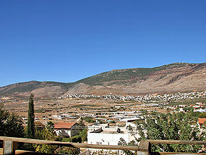 שזור. Photo: galil-net.org.il